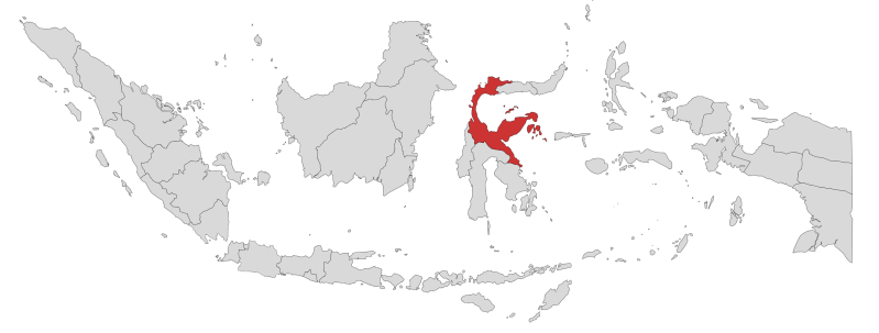 Berkas:Peta Provinsi Sulawesi Tengah.png