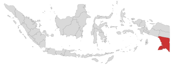Peta Provinsi Papua Selatan